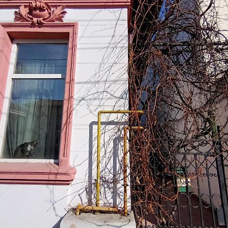 Casa Liveni Apartment Bucharest Exterior photo