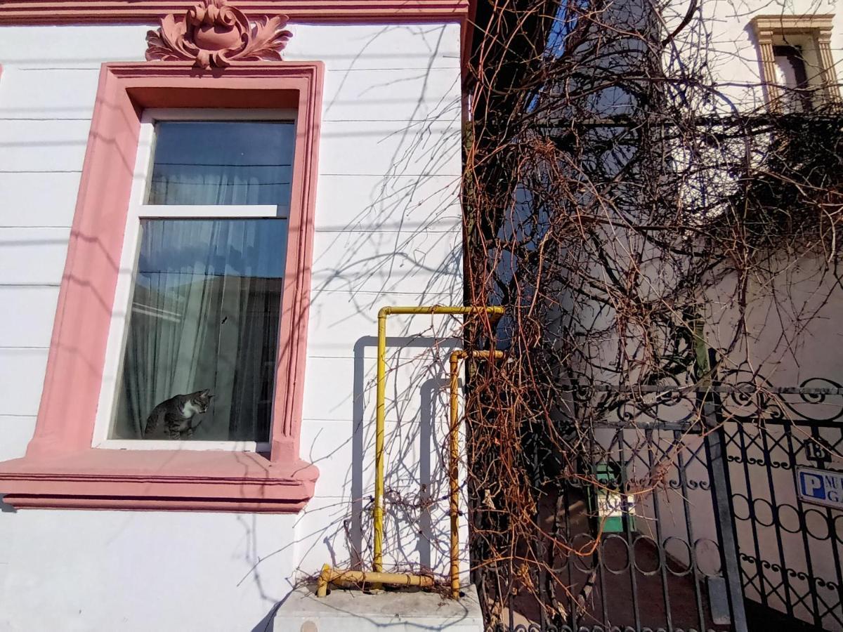 Casa Liveni Apartment Bucharest Exterior photo