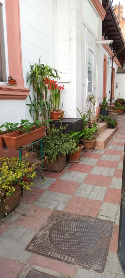 Casa Liveni Apartment Bucharest Exterior photo