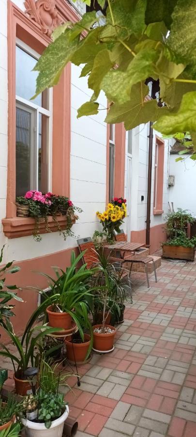 Casa Liveni Apartment Bucharest Exterior photo